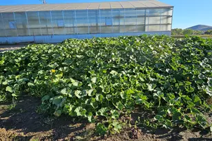 31850 Cantlon Dr, Wadsworth, NV 89442 - Photo 105