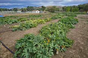 31850 Cantlon Dr, Wadsworth, NV 89442 - Photo 97