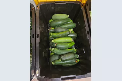 31850 Cantlon Drive, Wadsworth, NV 89442 - Photo 103