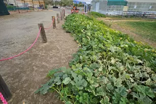 31850 Cantlon Dr, Wadsworth, NV 89442 - Photo 101