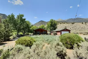 113 Victorine Dr, Kingston, NV 89310 - Photo 3