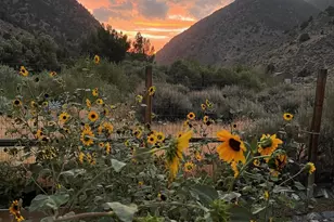 113 Victorine Dr, Kingston, NV 89310 - Photo 41