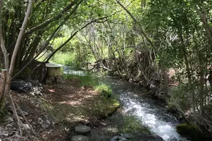 113 Victorine Dr, Kingston, NV 89310 - Photo 37