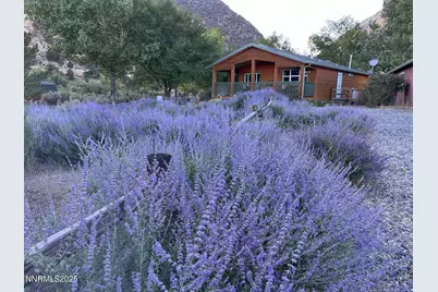 113 Victorine Drive, Kingston, NV 89310 - Photo 39