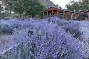 113 Victorine Dr, Kingston, NV 89310 - Photo 39