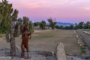 4433 Casey Rd, Fallon, NV 89406 - Photo 47