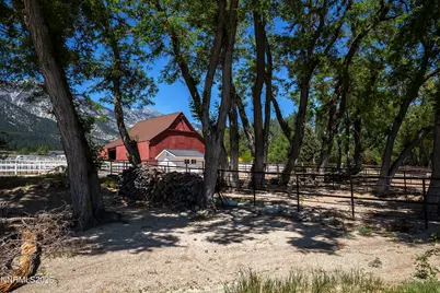 775 Foothill Road, Gardnerville, NV 89460 - Photo 5