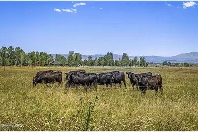 389 Mottsville Lane, Gardnerville, NV 89460 - Photo 55