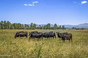 389 Mottsville Ln, Gardnerville, NV 89460 - Photo 55