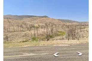 Tbd Devenpeck Dr, Double Spring, NV 89410 - Photo 1