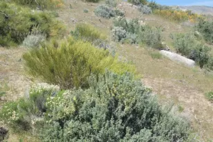 525 Prairie Dog, Reno, NV 89508 - Photo 1