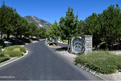 343 James Canyon Loop, Genoa, NV 89411 - Photo 7