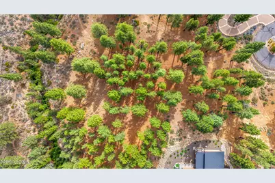 205 Timbercreek Court, Reno, NV 89511 - Photo 5