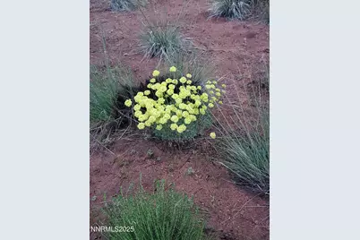 3300 High Rock Road, Gerlach, NV 89412 - Photo 47