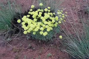 3300 High Rock Rd, Gerlach, NV 89412 - Photo 47