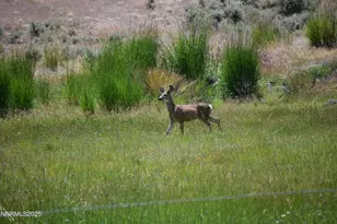 3300 High Rock Rd, Gerlach, NV 89412 - Photo 13