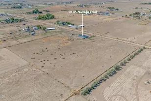 9185 Navajo Trail, Stagecoach, NV 89429 - Photo 3