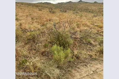 14155 N Red Rock Road, Reno, NV 89508 - Photo 11