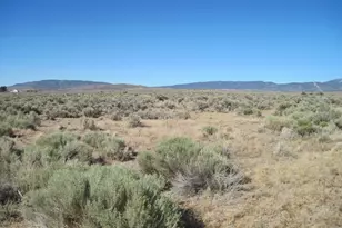 1375 Ramsey Cutoff, Silver Springs, NV 89429 - Photo 1