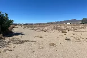 1445 Spruce Ave, Silver Springs, NV 89429 - Photo 3