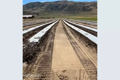 3995 Bacon Rind Road, Reno, NV 89510 - Photo 3