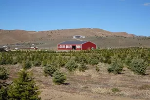 3995 Bacon Rind Rd, Reno, NV 89510 - Photo 1