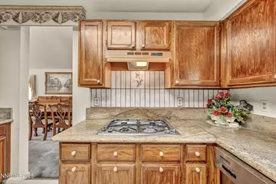 1701 Lantana Drive, Minden, NV 89423 - Photo 23
