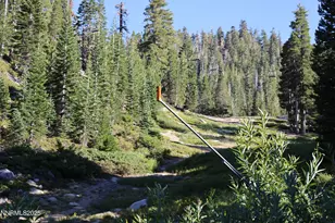 313 Tramway Dr, Stateline, NV 89449 - Photo 21