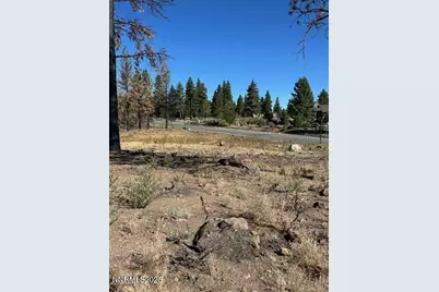 605 Sand Cherry Court, Reno, NV 89511 - Photo 5