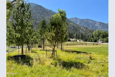 565 Jackson Ranch Road, Gardnerville, NV 89460 - Photo 3