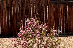 155 Veronica Ave, Spanish Springs, NV 89436 - Photo 53