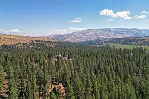 555 Pleasant Valley Rd, Markleeville, CA 96120 - Photo 35