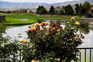 607 St Andrews Dr, Dayton, NV 89403 - Photo 5