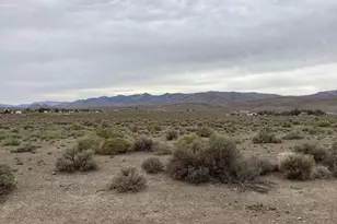 5225 Boyer Ln, Silver Springs, NV 89429 - Photo 1