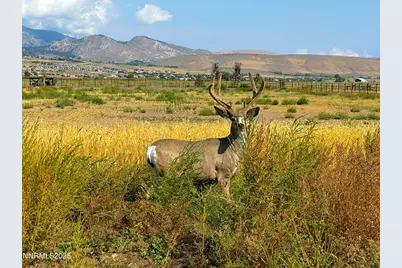 2460 Deerhaven, Minden, NV 89423 - Photo 21