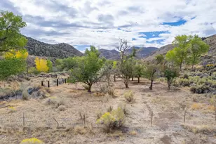 77 Ophir Ml Rd, Dayton, NV 89403 - Photo 33