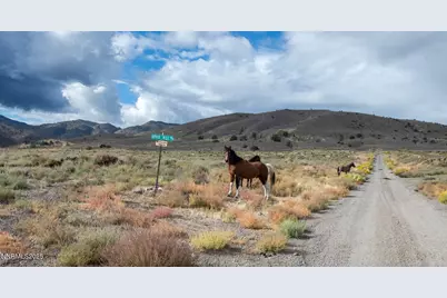 77 Ophir Mill Road, Dayton, NV 89403 - Photo 5