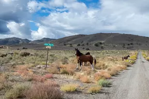 77 Ophir Ml Rd, Dayton, NV 89403 - Photo 5