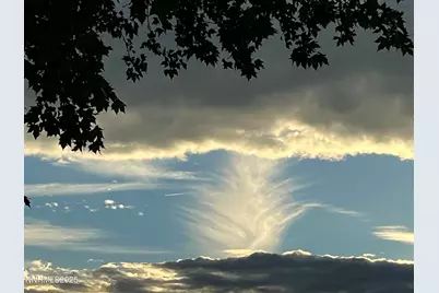 2835 Parkway Drive, Reno, NV 89502 - Photo 39