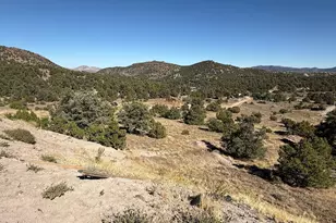 1640 Combination Rd, Reno, NV 89521 - Photo 3