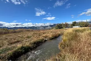911 Waterloo Ln, Gardnerville, NV 89460 - Photo 5