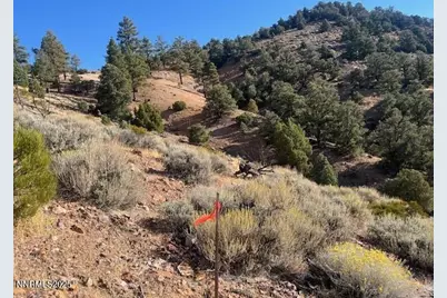 0 Buckeye, Off Of Road, Virginia City, NV 89440 - Photo 1