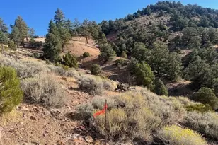 0 Buckeye Off Of Rd, Virginia City, NV 89440 - Photo 1