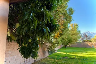 1616 Belarra Dr, Minden, NV 89423 - Photo 5