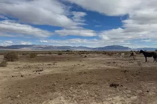 1600 Kyle Hot Springs Rd, Imlay, NV 89418 - Photo 29