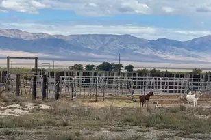 1600 Kyle Hot Springs Rd, Imlay, NV 89418 - Photo 23