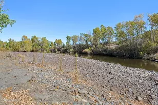 19 Marina Dr, Dayton, NV 89403 - Photo 69