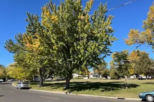 1155 Wesley Dr, Reno, NV 89503 - Photo 53