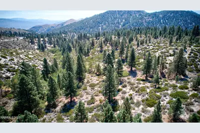 5645 US Highway 50, Carson City, NV 89701 - Photo 11