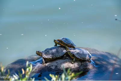 2490 Eastshore Place #507, Reno, NV 89509 - Photo 25